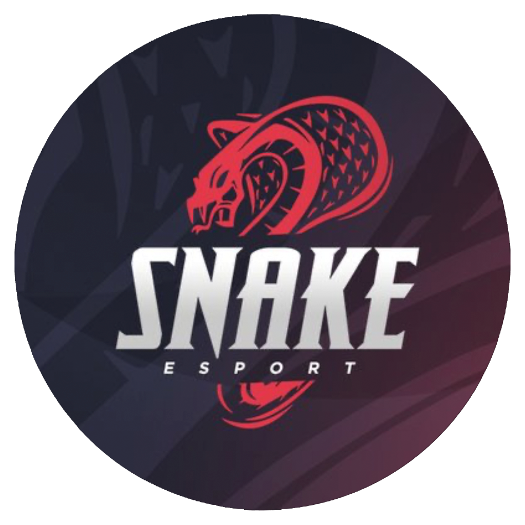 Snake eSport